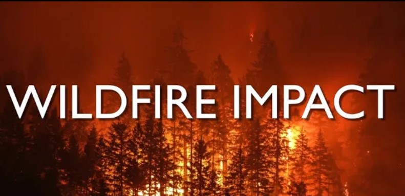 Wildfire Impact