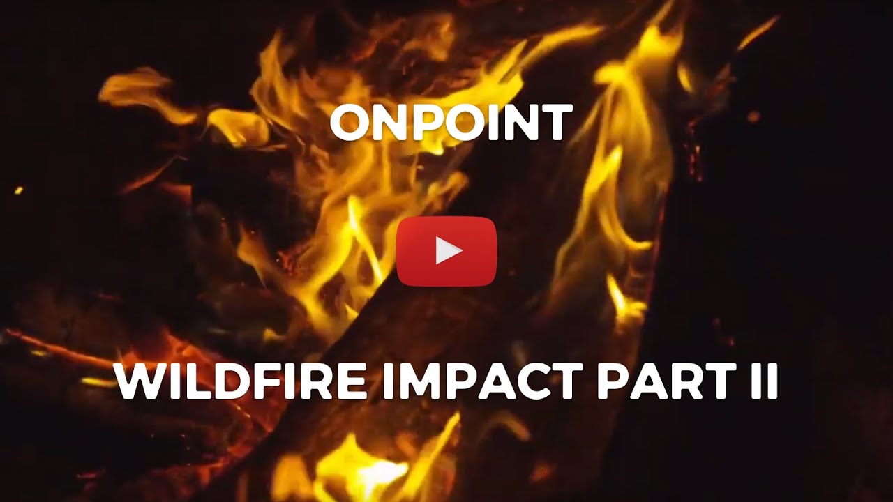 Onpoint Wildfire Part 2